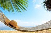All Inclusive �������