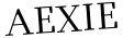 Please type this word.