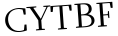 Please type this word.