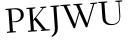 Please type this word.