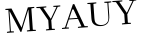 Please type this word.