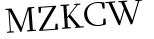 Please type this word.