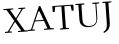 Please type this word.
