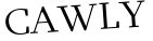 Please type this word.