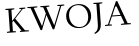 Please type this word.