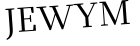 Please type this word.
