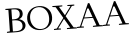 Please type this word.