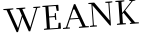 Please type this word.