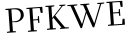 Please type this word.