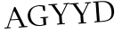 Please type this word.
