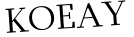 Please type this word.