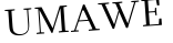 Please type this word.