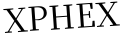 Please type this word.