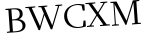 Please type this word.