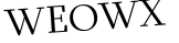 Please type this word.