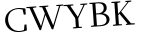 Please type this word.