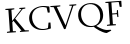 Please type this word.