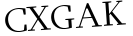 Please type this word.