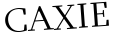 Please type this word.
