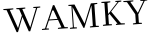 Please type this word.