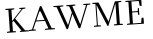Please type this word.
