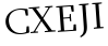 Please type this word.