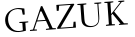 Please type this word.