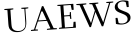 Please type this word.
