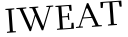 Please type this word.
