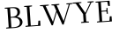 Please type this word.