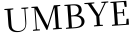 Please type this word.