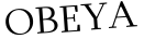 Please type this word.