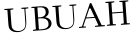 Please type this word.