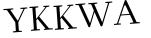 Please type this word.