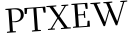 Please type this word.