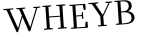 Please type this word.