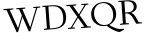Please type this word.