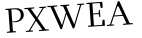 Please type this word.