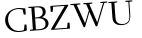 Please type this word.