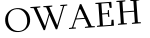 Please type this word.