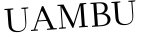 Please type this word.