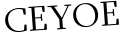 Please type this word.
