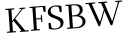 Please type this word.