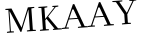 Please type this word.