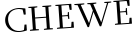 Please type this word.