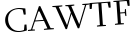 Please type this word.