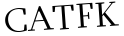 Please type this word.