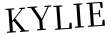 Please type this word.