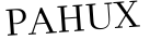 Please type this word.
