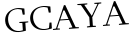 Please type this word.